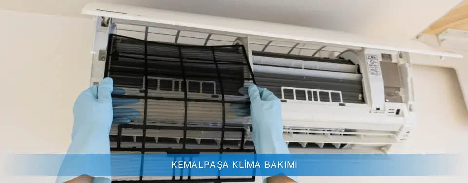 Kemalpaşa İlçemi Carrier Klima Bakımı